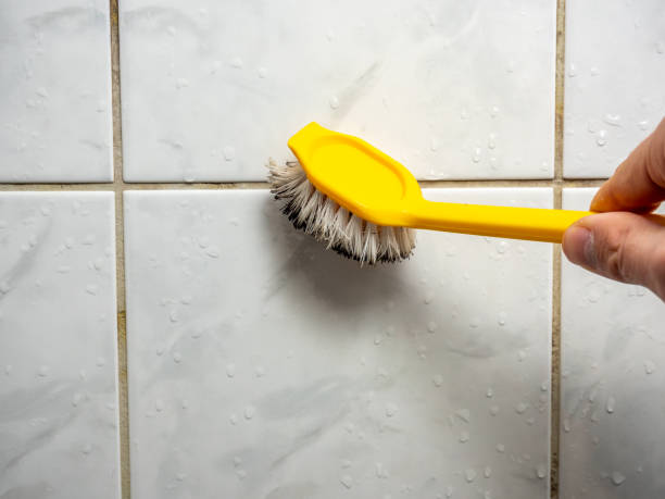 Best Mold Testing  in Floresville, TX