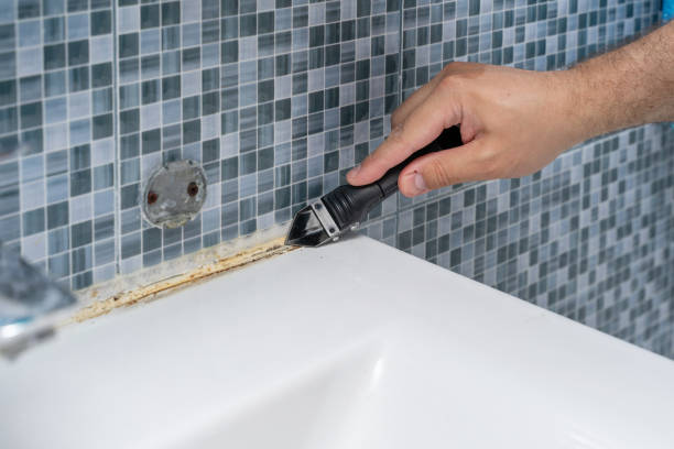 Best Mold Remediation  in Floresville, TX
